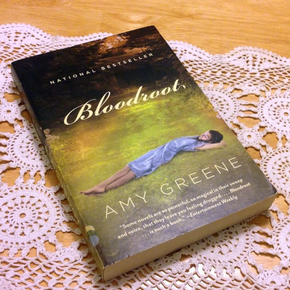 Book Sale! 3 for $10! Magic, Faith, Madness, Bloodroot